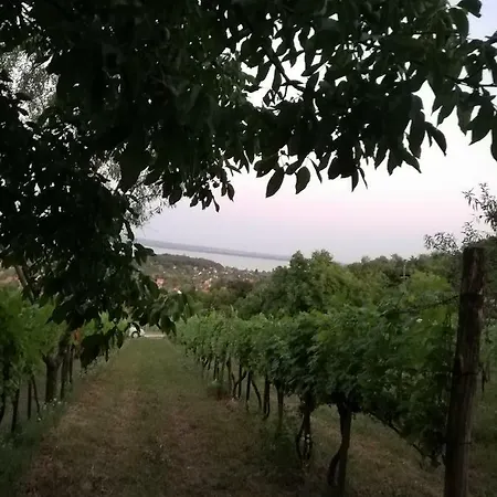 Panorama Jurta Luxury tent