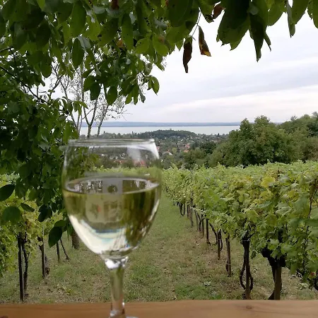 Luxuszelt Panorama Jurta Ábrahámhegy